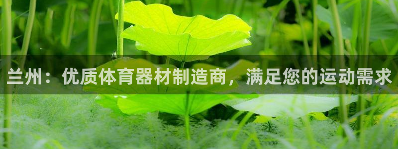 耀世娱乐返点多少钱：兰州：优质体育器材制造商，满足您