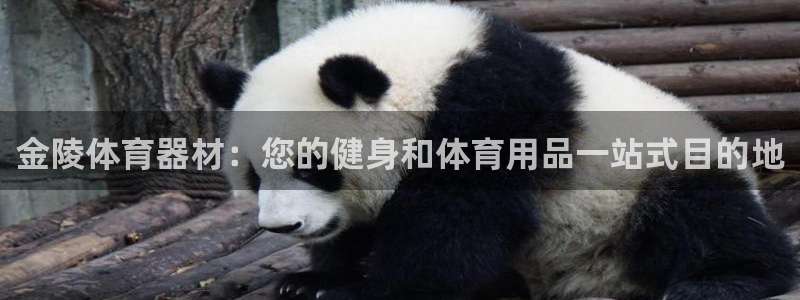 耀世是什么游戏里的人物：金陵体育器材：您的健身和体育