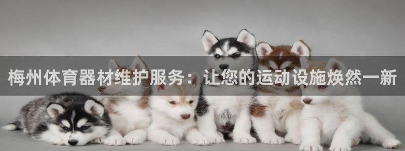耀世平台拿什么输入账号密码呢：梅州体育器材维护服务：让您的运