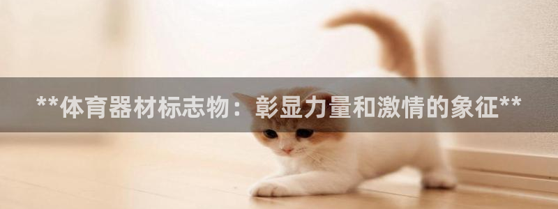 耀世开启什么意思：**体育器材标志物：彰显力量和激情