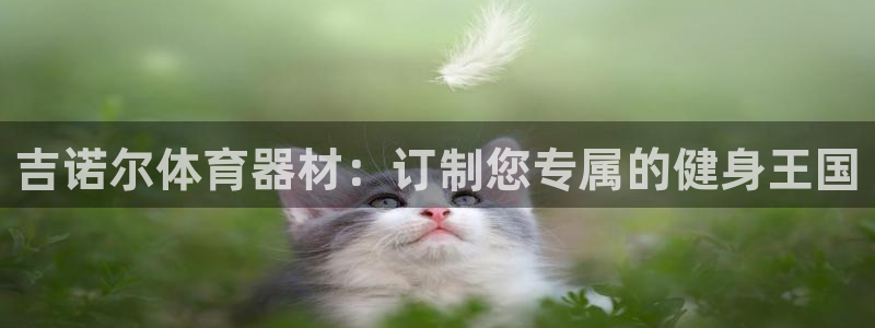 耀世娱乐平台注册地址在哪里找：吉诺尔体育器材：订制您