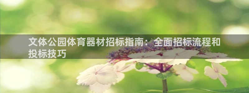 耀世集团王大聪图片：文体公园体育器材招标指南：全面招