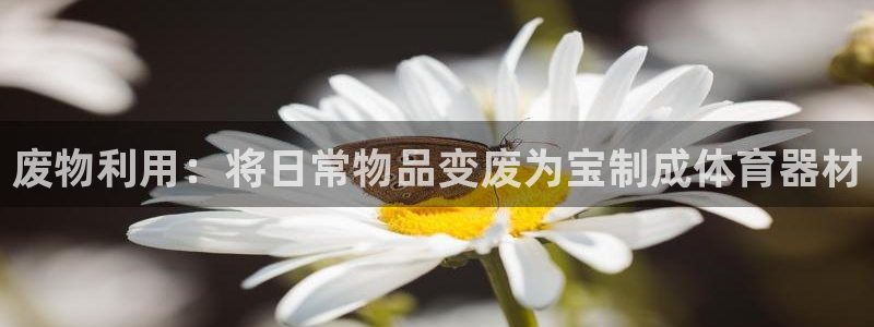 耀世娱乐官网网站入口下载：废物利用：将日常物品变废为