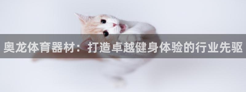 耀世集团董事长耀阳