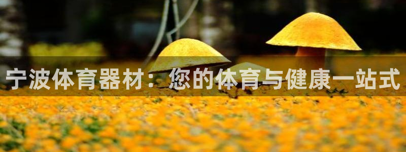 耀世天下短句：宁波体育器材：您的体育与健康一站式