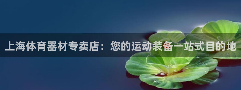 耀世平台皮皮虾：上海体育器材专卖店：您的运动装备一站