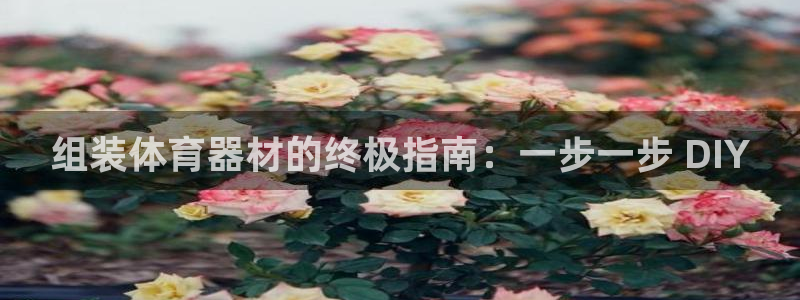 耀世什么意思：组装体育器材的终极指南：一步一步 DI