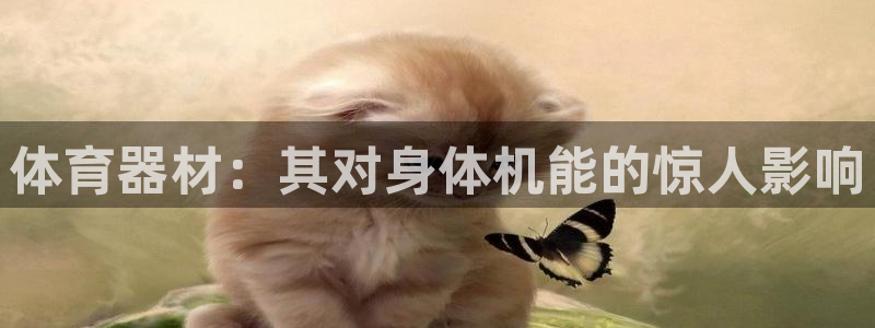 耀世娱乐客服电话多少：体育器材：其对身体机能的惊人影