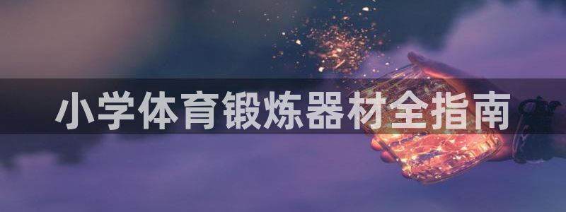 耀世平台总代理：小学体育锻炼器材全指南