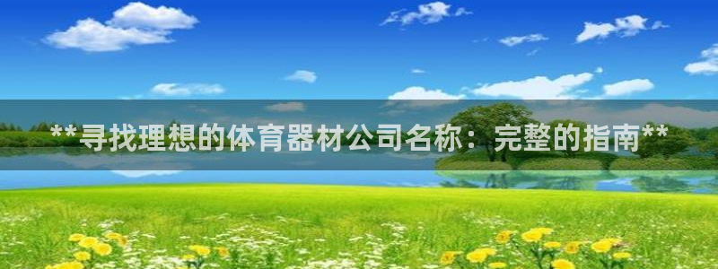 耀世平台注册步骤图片：**寻找理想的体育器材公司名称