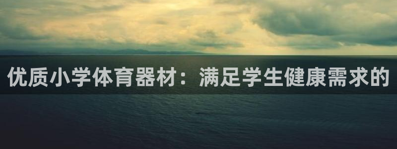 耀世集团董事长：优质小学体育器材：满足学生健康需求的