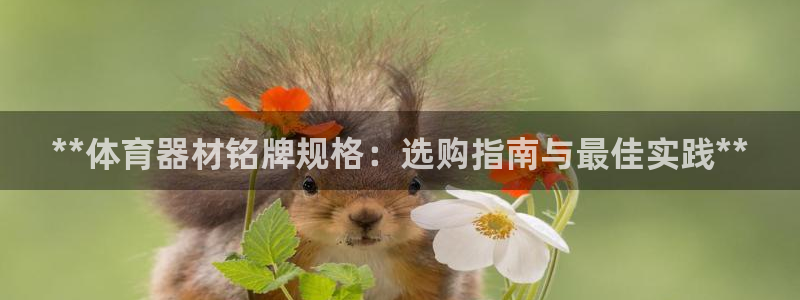 耀世娱乐登陆地址在哪：**体育器材铭牌规格：选购指南