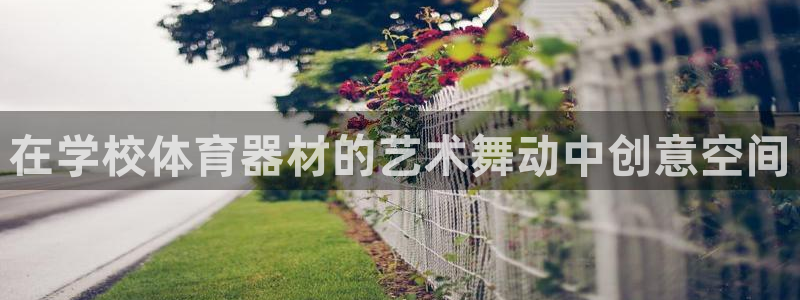 耀世集团董事长儿子：在学校体育器材的艺术舞动中创意空