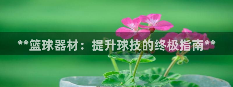 耀世娱乐能不能提现：**篮球器材：提升球技的终极指南