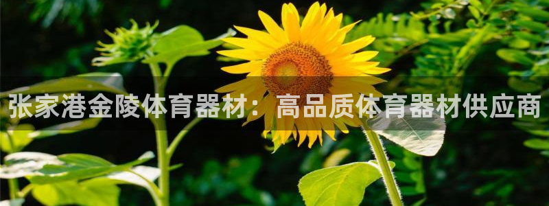 耀世微光简谱：张家港金陵体育器材：高品质体育器材供应