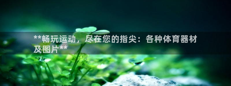 耀世平台注册：**畅玩运动，尽在您的指尖：各种体育器材
及图