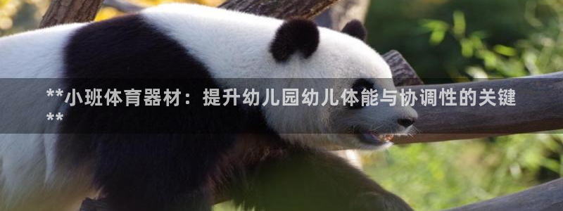 耀世平台注册网址查询：**小班体育器材：提升幼儿园幼