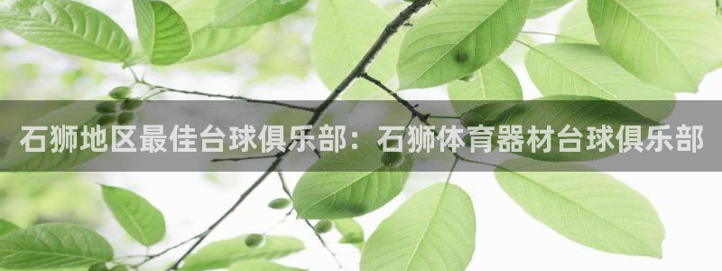 耀世圣主：石狮地区最佳台球俱乐部：石狮体育器材台球俱