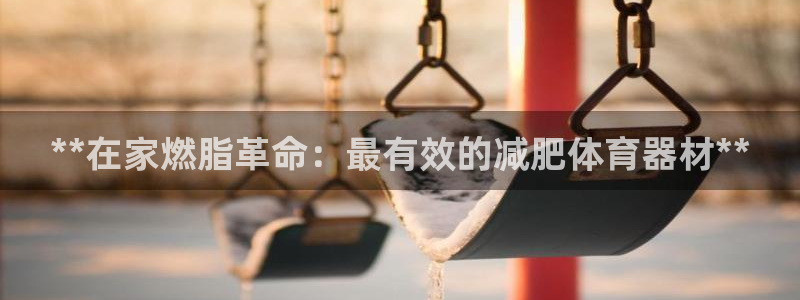 耀世登场的图片：**在家燃脂革命：最有效的减肥体育器