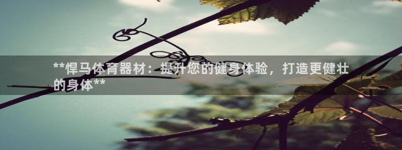 耀世集团董事长简介：**悍马体育器材：提升您的健身体验，打造