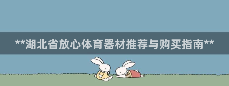耀世国际集团董事长：**湖北省放心体育器材推荐与购买