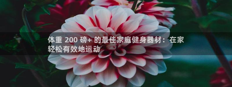 耀世平台易 411031 耀世：体重 200 磅+ 