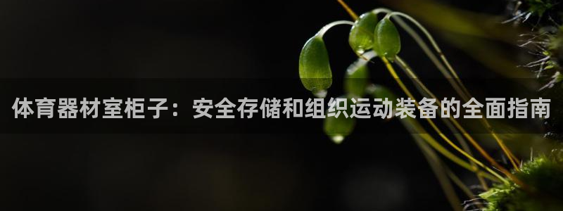 耀世平台总代理：体育器材室柜子：安全存储和组织运动装