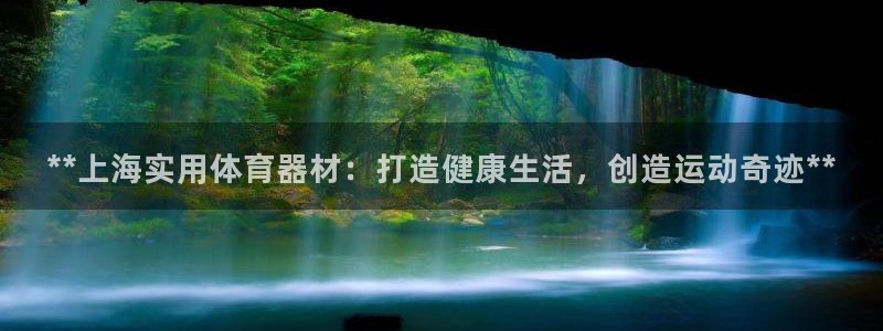 耀世娱乐登录遍333OO：**上海实用体育器材：打造