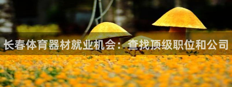 耀世天下图片：长春体育器材就业机会：查找顶级职位和公