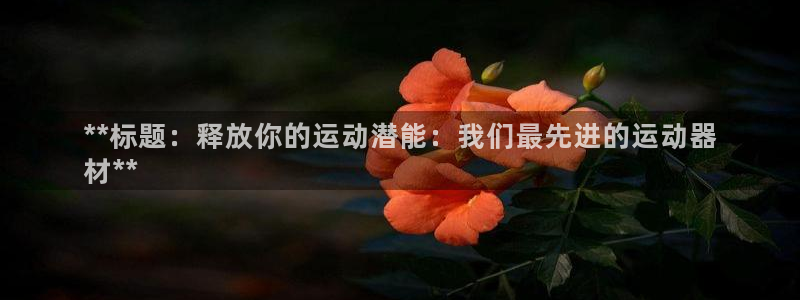 耀世微光歌词：**标题：释放你的运动潜能：我们最先进的运动器