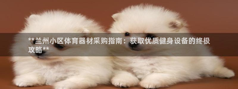 耀世平台：**兰州小区体育器材采购指南：获取优质健身