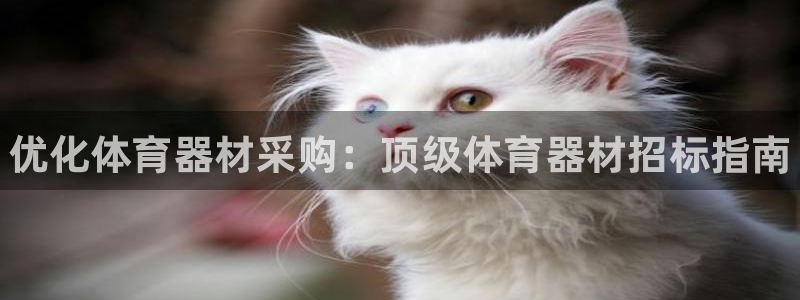 耀世平台代理多少钱一个月：优化体育器材采购：顶级体育