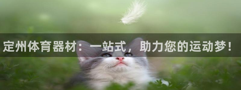 耀世集团董事长简介：定州体育器材：一站式，助力您的运动梦！