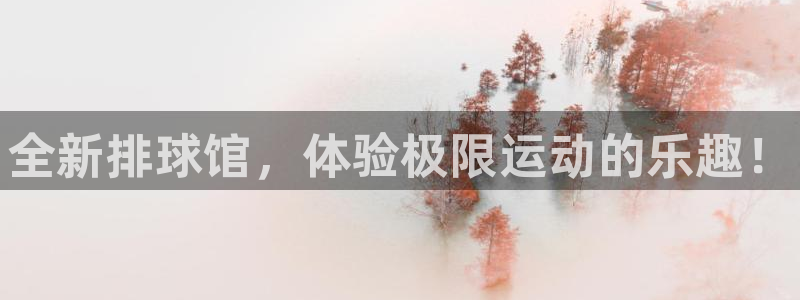 耀世平台开户流程图