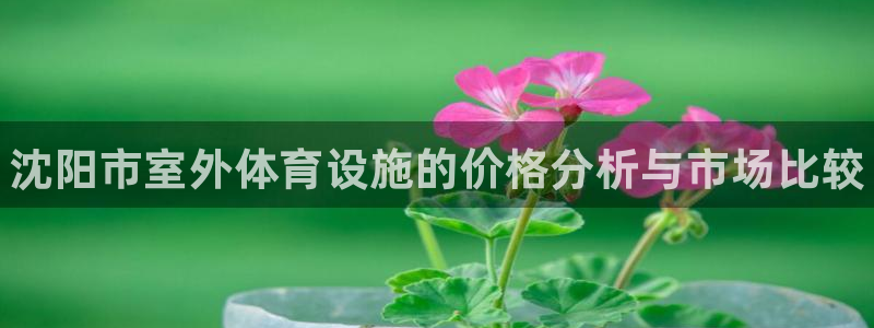 耀世娱乐注册入口官网：沈阳市室外体育设施的价格分析与