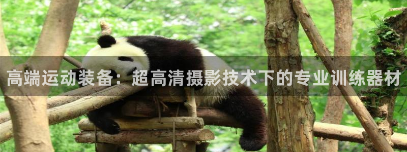 耀世娱乐注册账号：高端运动装备：超高清摄影技术下的专