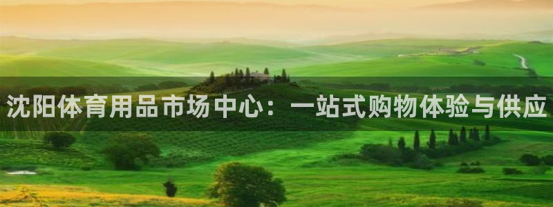 耀世平台日7O777：沈阳体育用品市场中心：一站式购物体验与